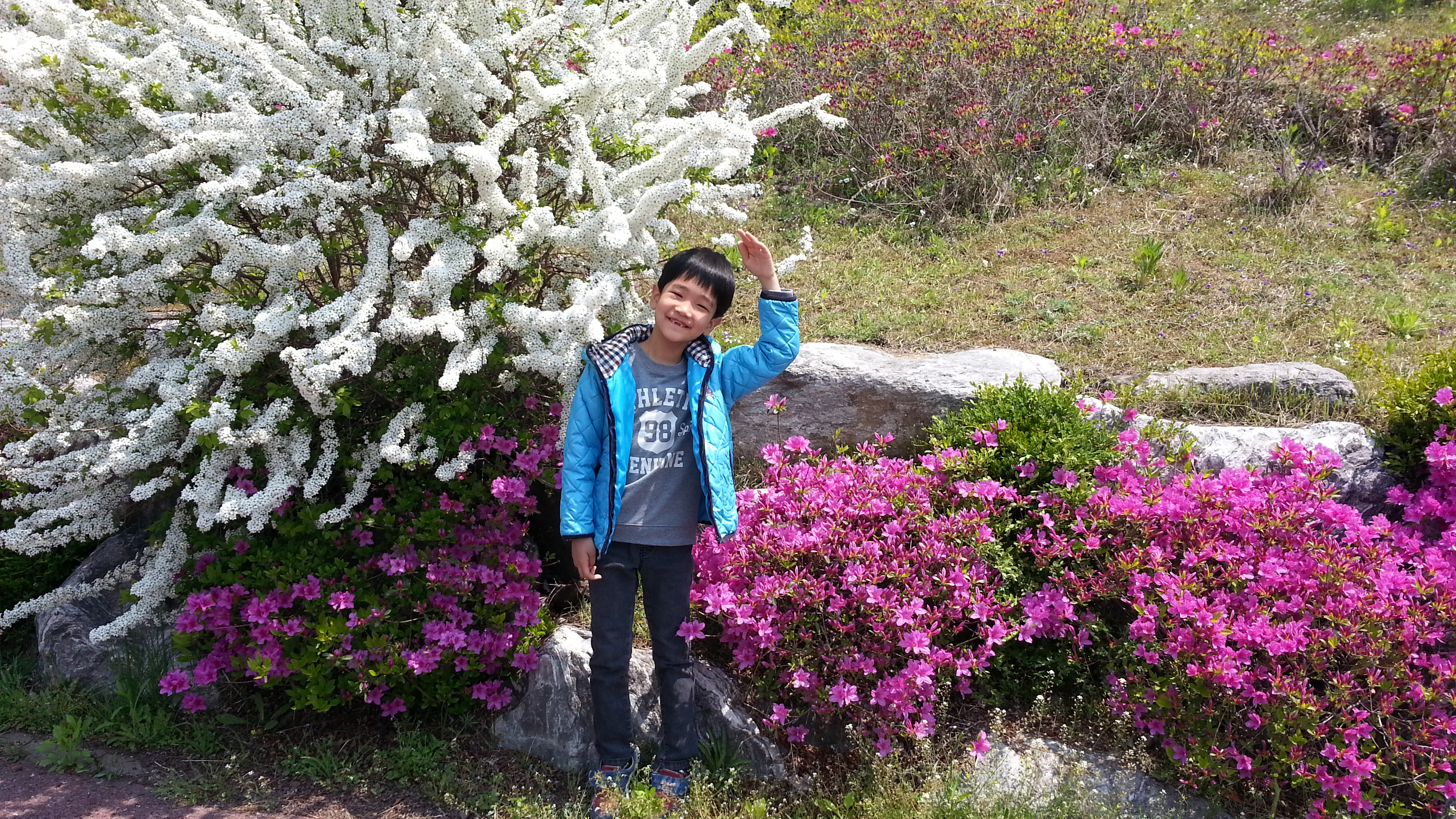 20130505_120028.jpg : 백지형