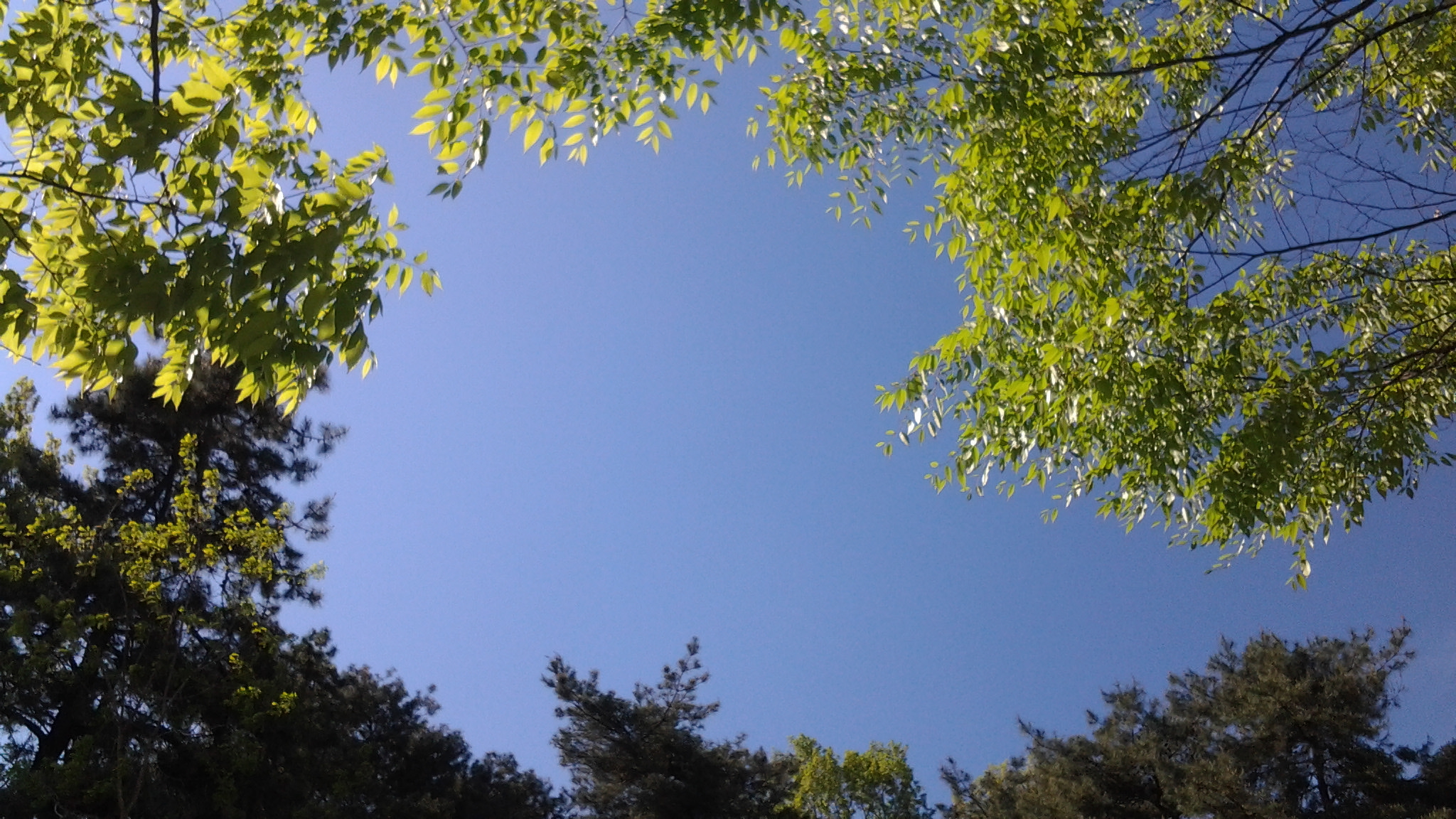 20120503_155244.jpg : 초록과 파랑