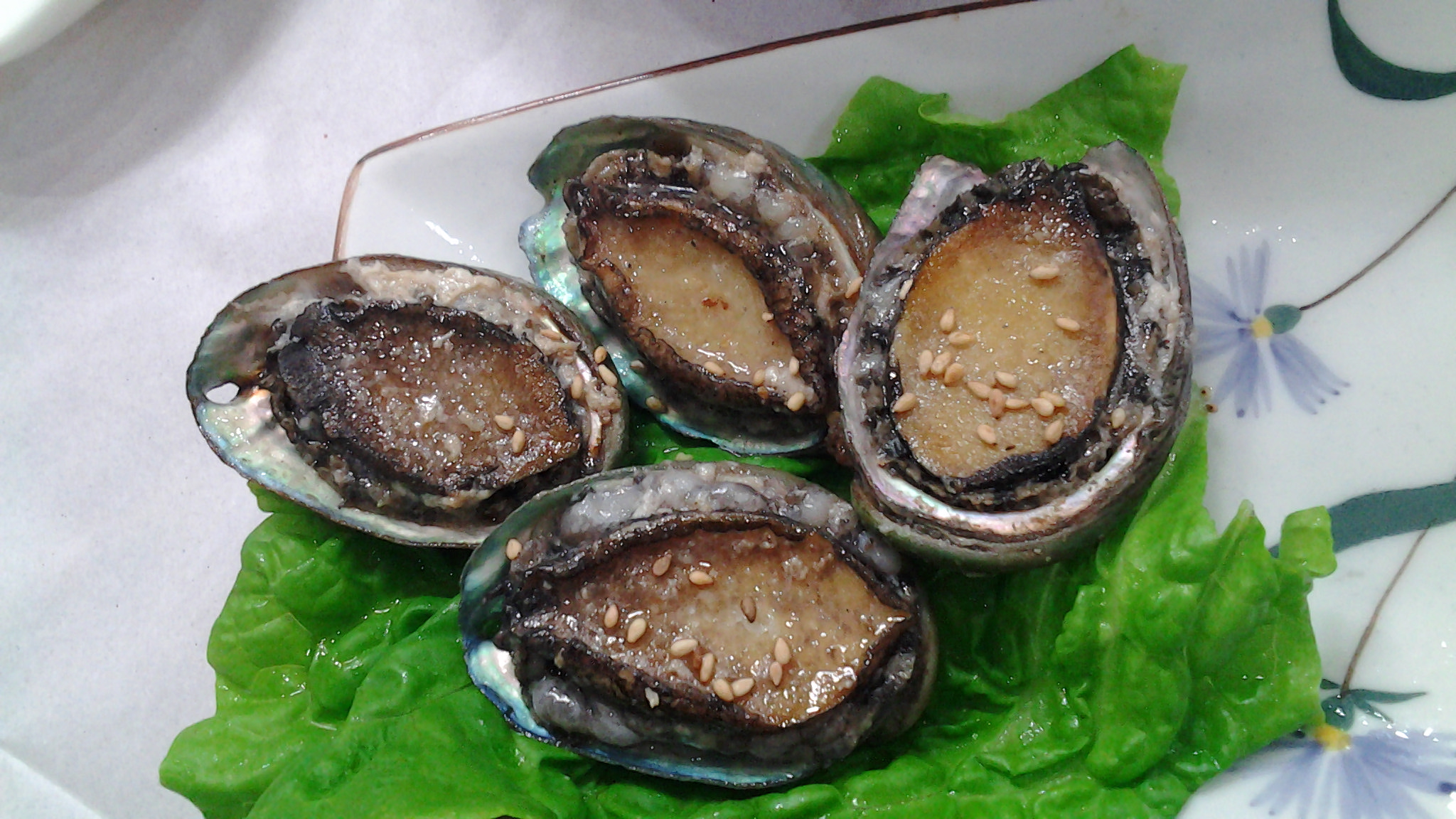 20120524_221449.jpg : 진주조개