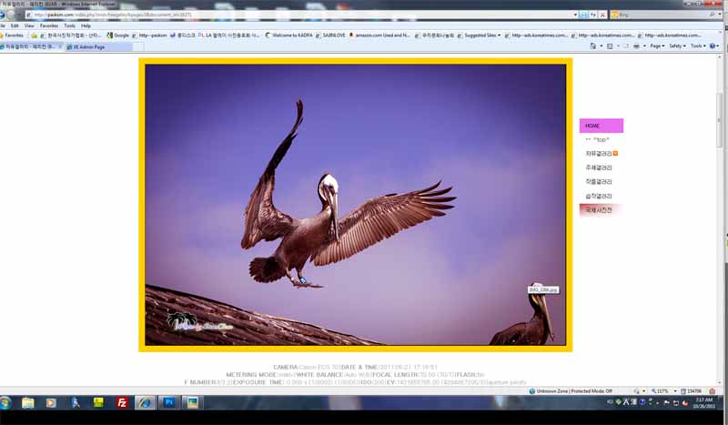 exif-3.jpg