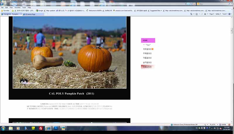exif-2.jpg