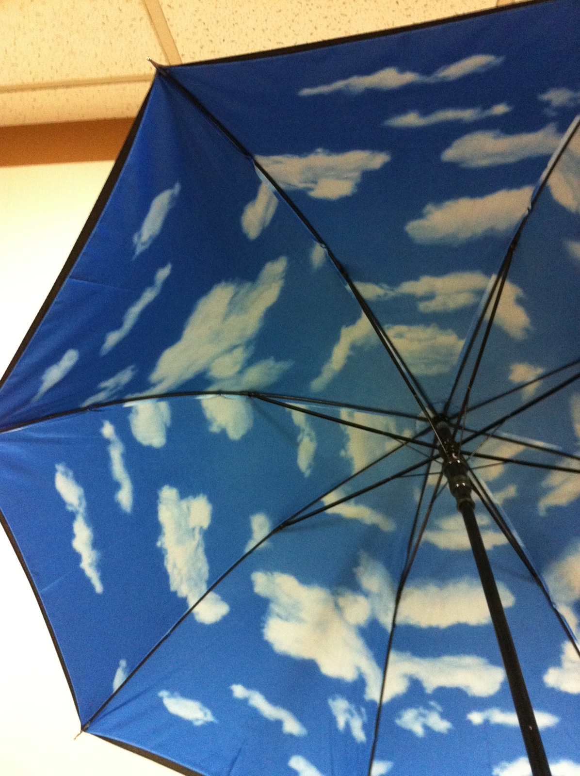20120601161948.jpg : 하늘 우산 ^^