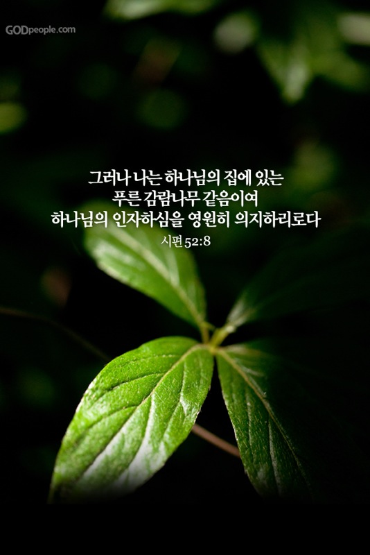 20111121205744.jpg : 아이패드에서 사진첨부하여 올립니다.