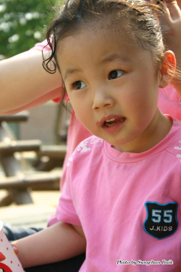 384_8472.jpg