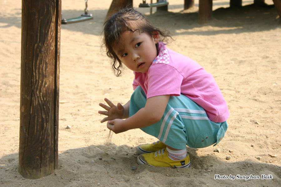 384_8447.jpg