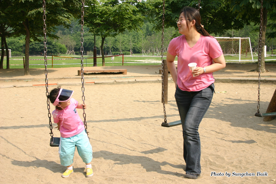 384_8460.jpg