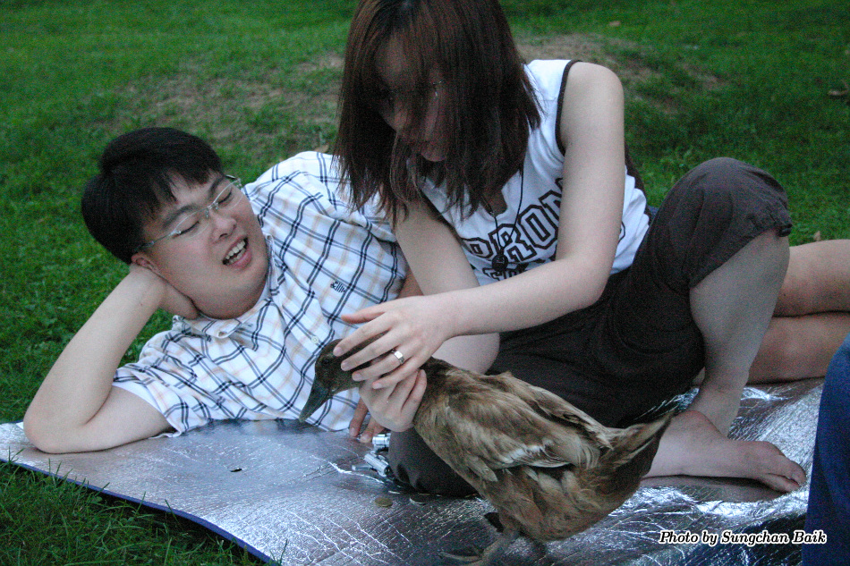 567_6781.jpg