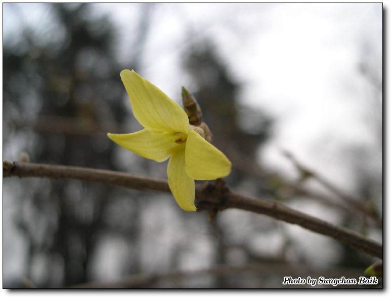 DSCN0188.jpg
