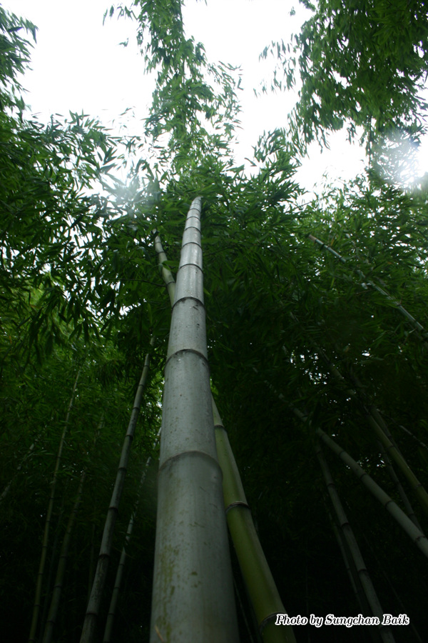 576_7684.jpg