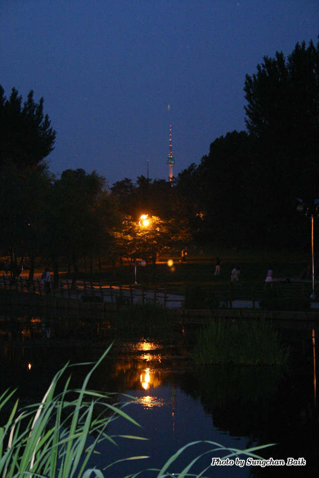 567_6795.jpg