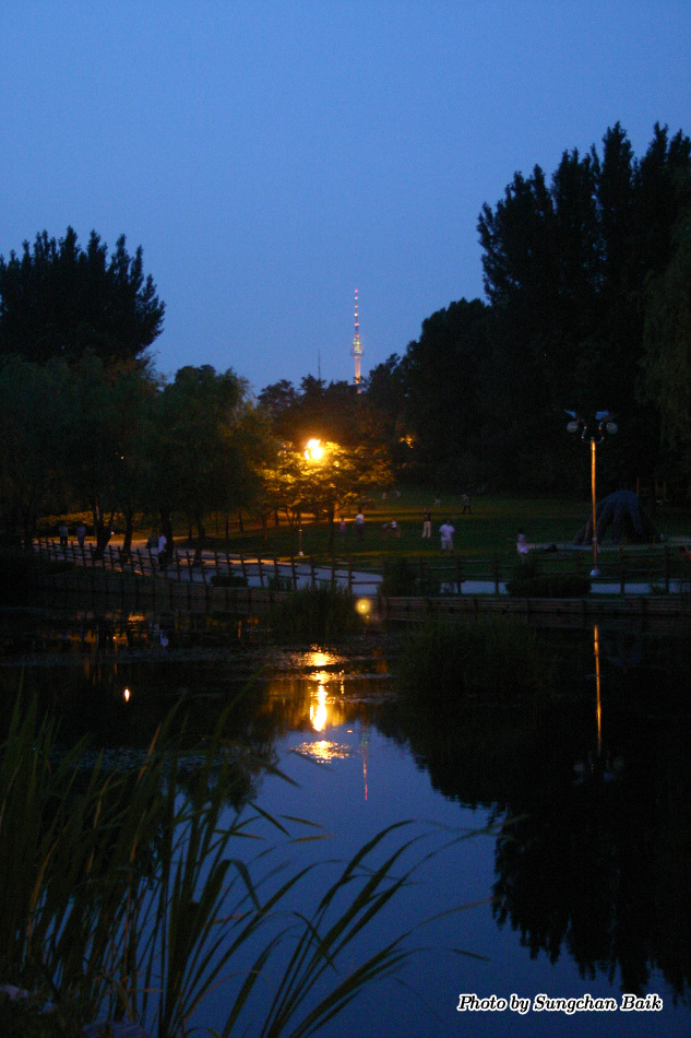 567_6794.jpg