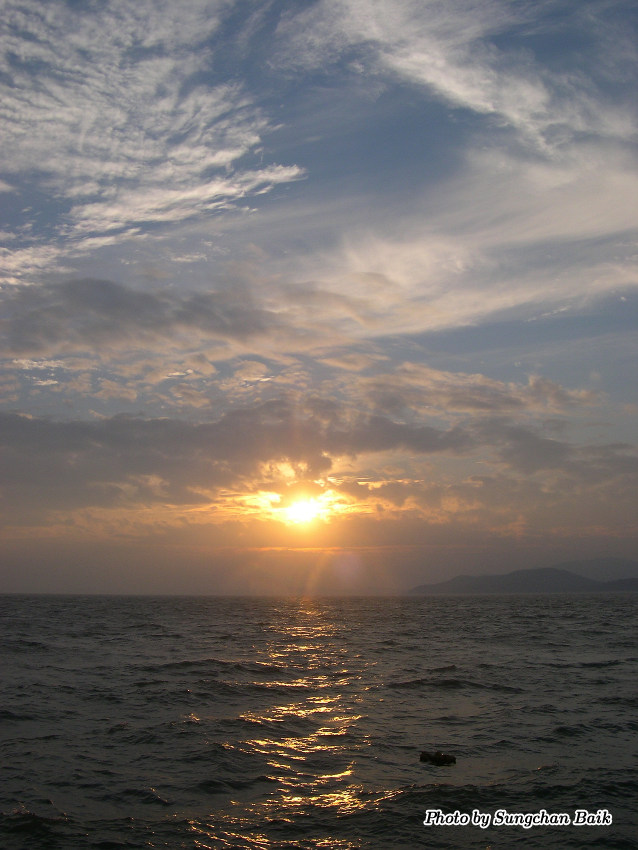 DSCN5031.jpg