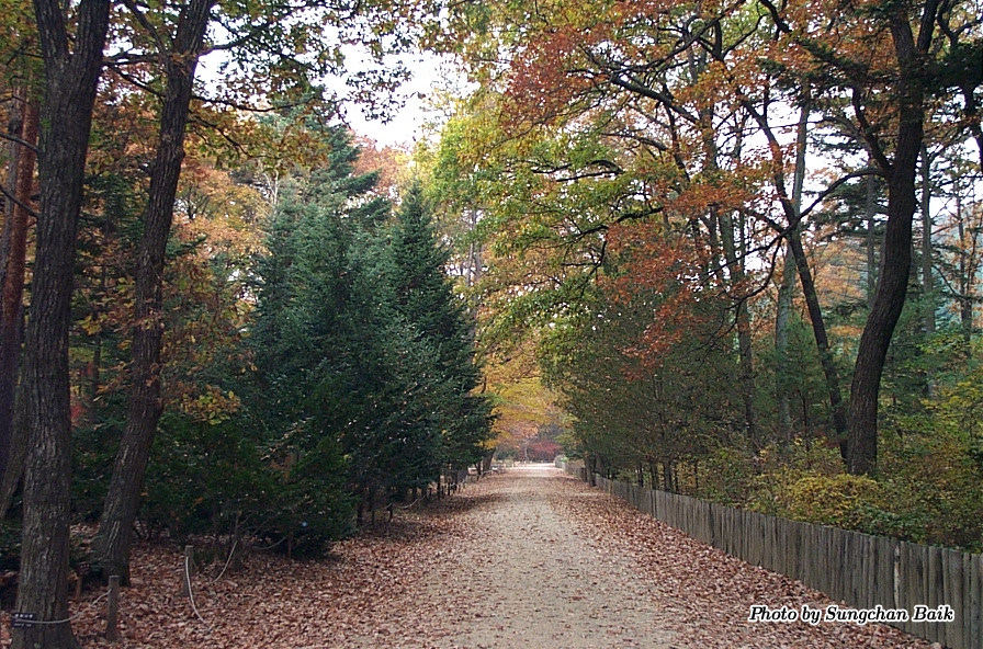 DCP_5207.jpg