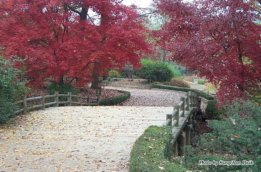 DCP_5232.jpg