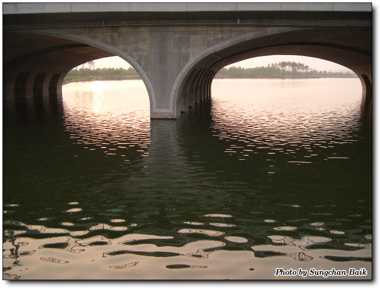 DSCN1628.jpg
