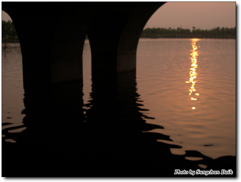 DSCN1631.jpg