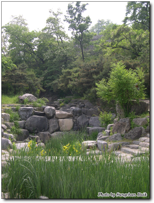 DSCN1758.jpg