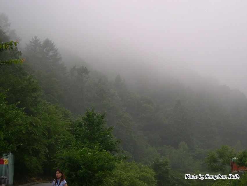 DSCN2422.jpg