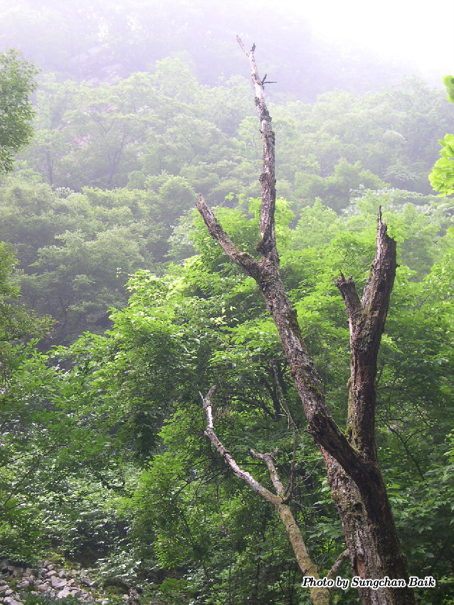 DSCN2435.jpg