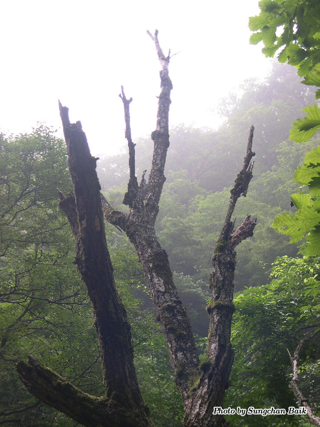 DSCN2436.jpg