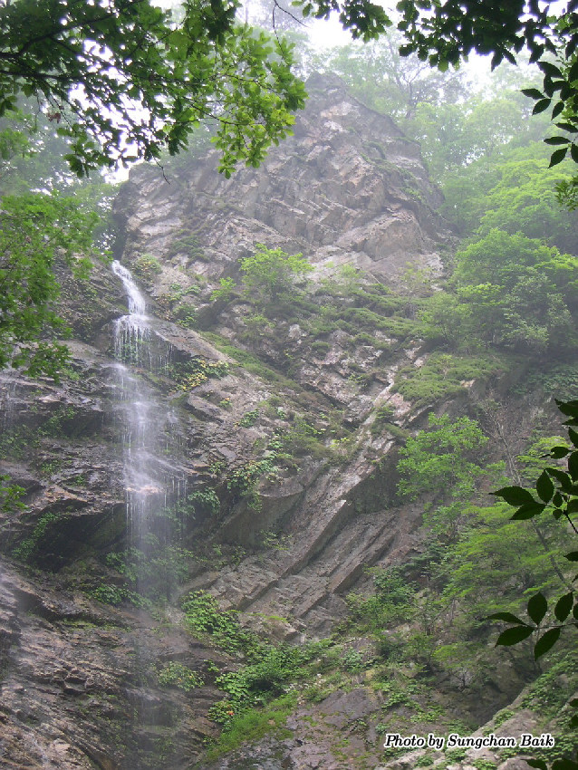 DSCN2446.jpg