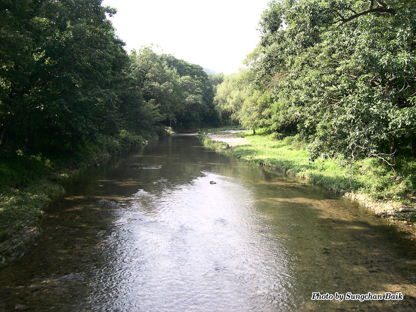DSCN3847.jpg