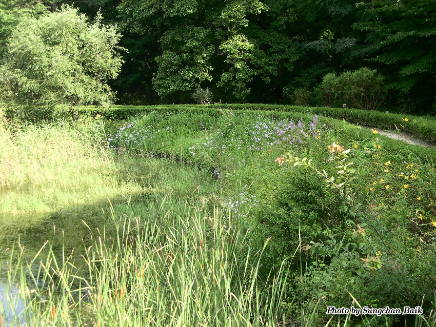 DSCN3850.jpg