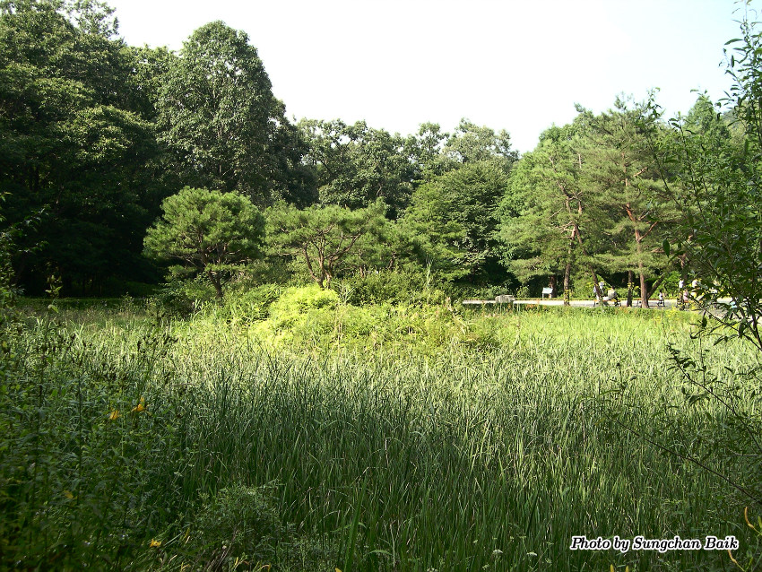 DSCN3851.jpg