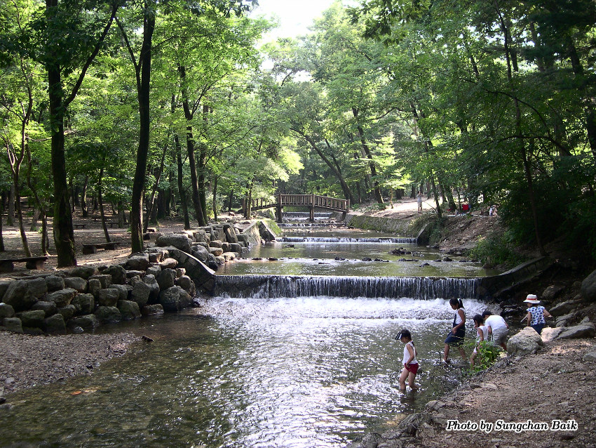 DSCN3854.jpg
