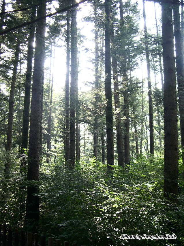 DSCN3859.jpg