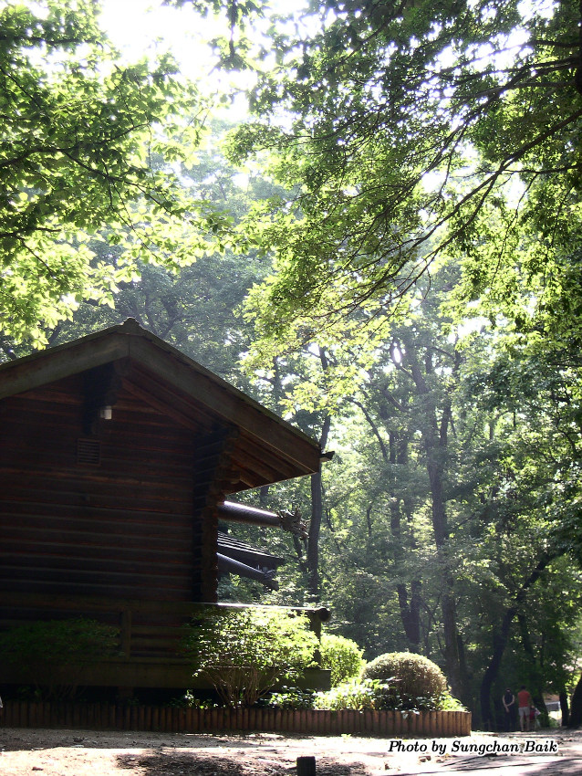 DSCN3865.jpg