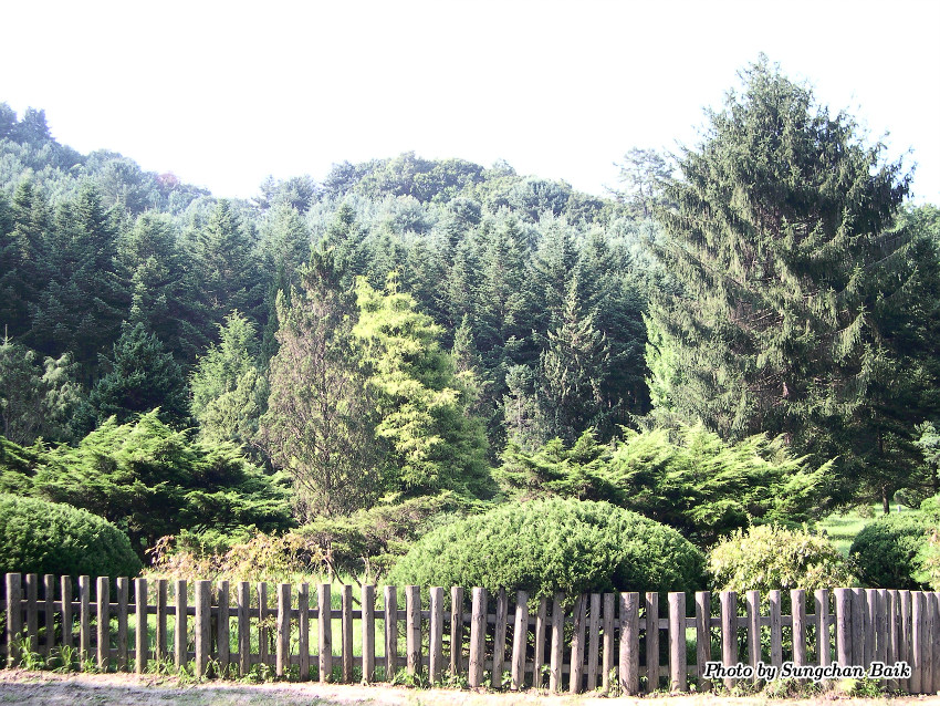 DSCN3867.jpg