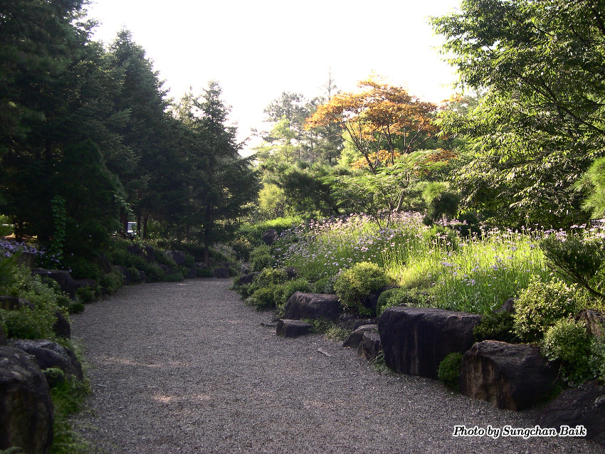 DSCN3882.jpg