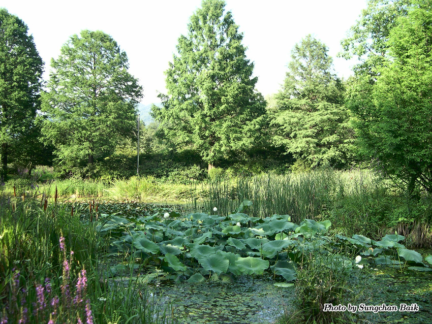 DSCN3895.jpg