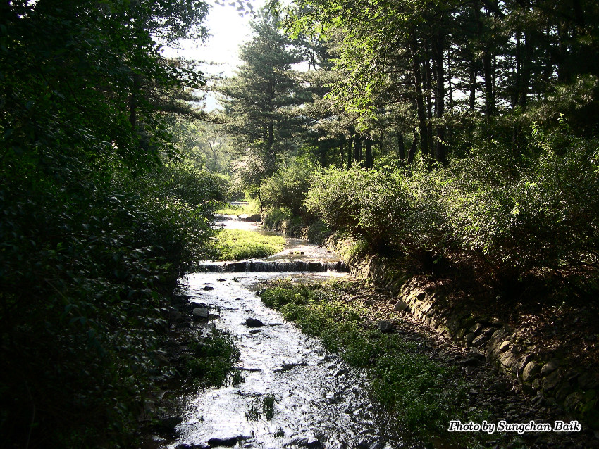 DSCN3898.jpg