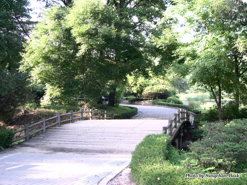 DSCN3900.jpg