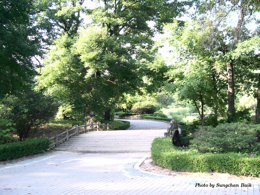 DSCN3899.jpg