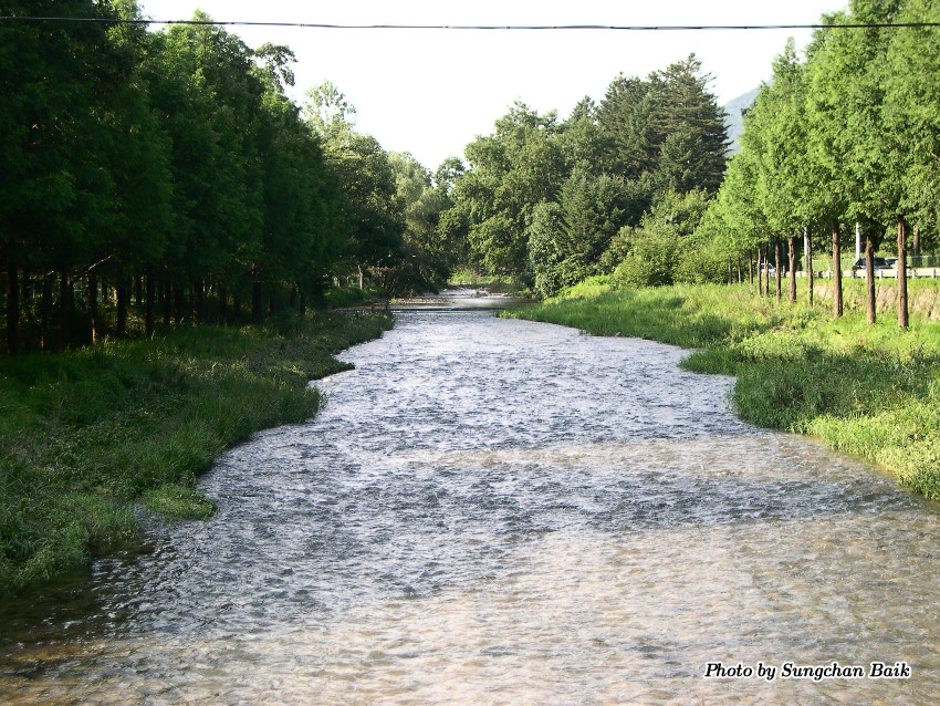 DSCN3904.jpg