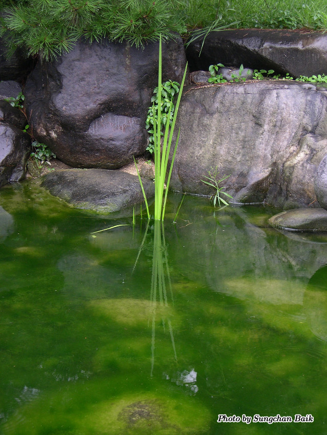 DSCN4742.jpg