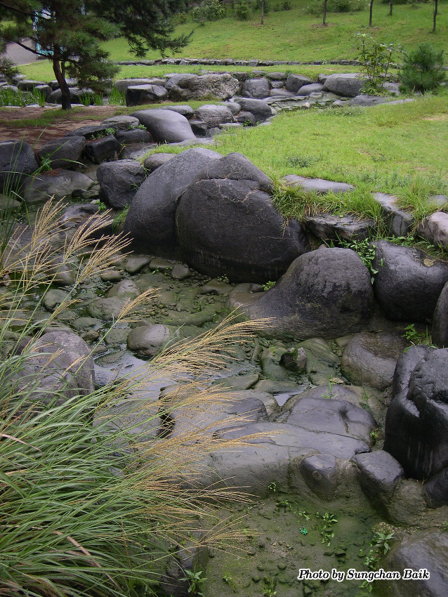 DSCN4743.jpg