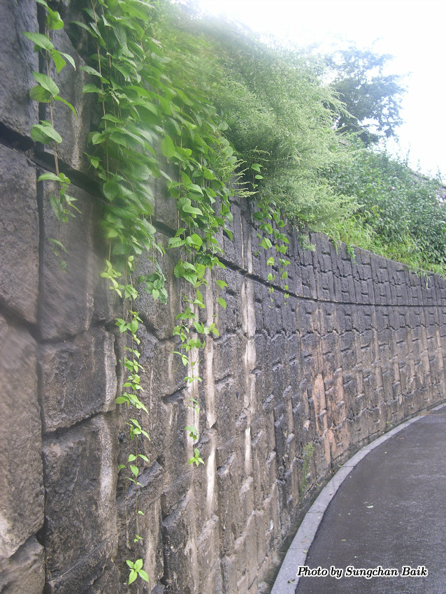 DSCN4890.jpg