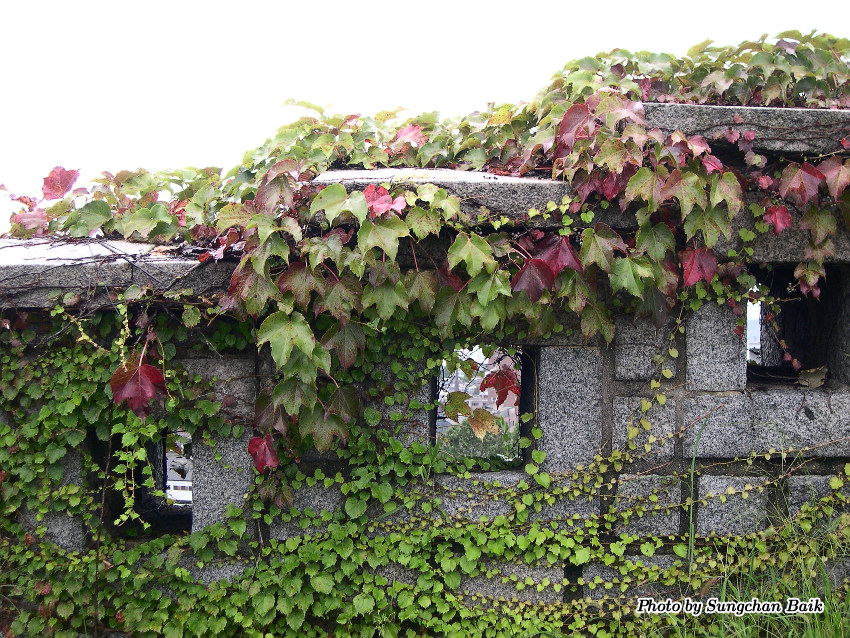 DSCN4899.jpg