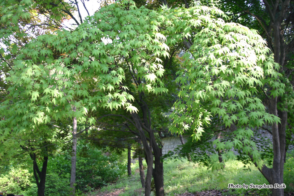 376_7617.jpg